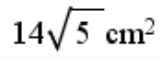 Option B