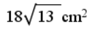 Option C