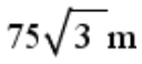 Option D