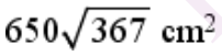Option B