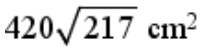 Option C