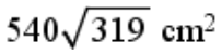 Option D
