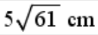 Option D
