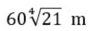 Option D