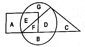 question number 19